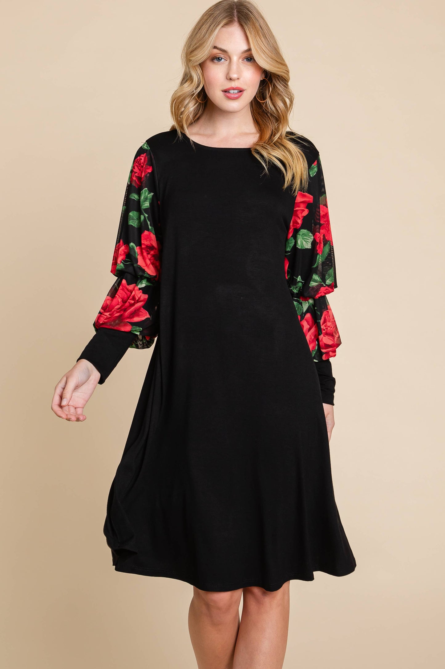 Mesh Lantern Long Sleeves Swing Dress